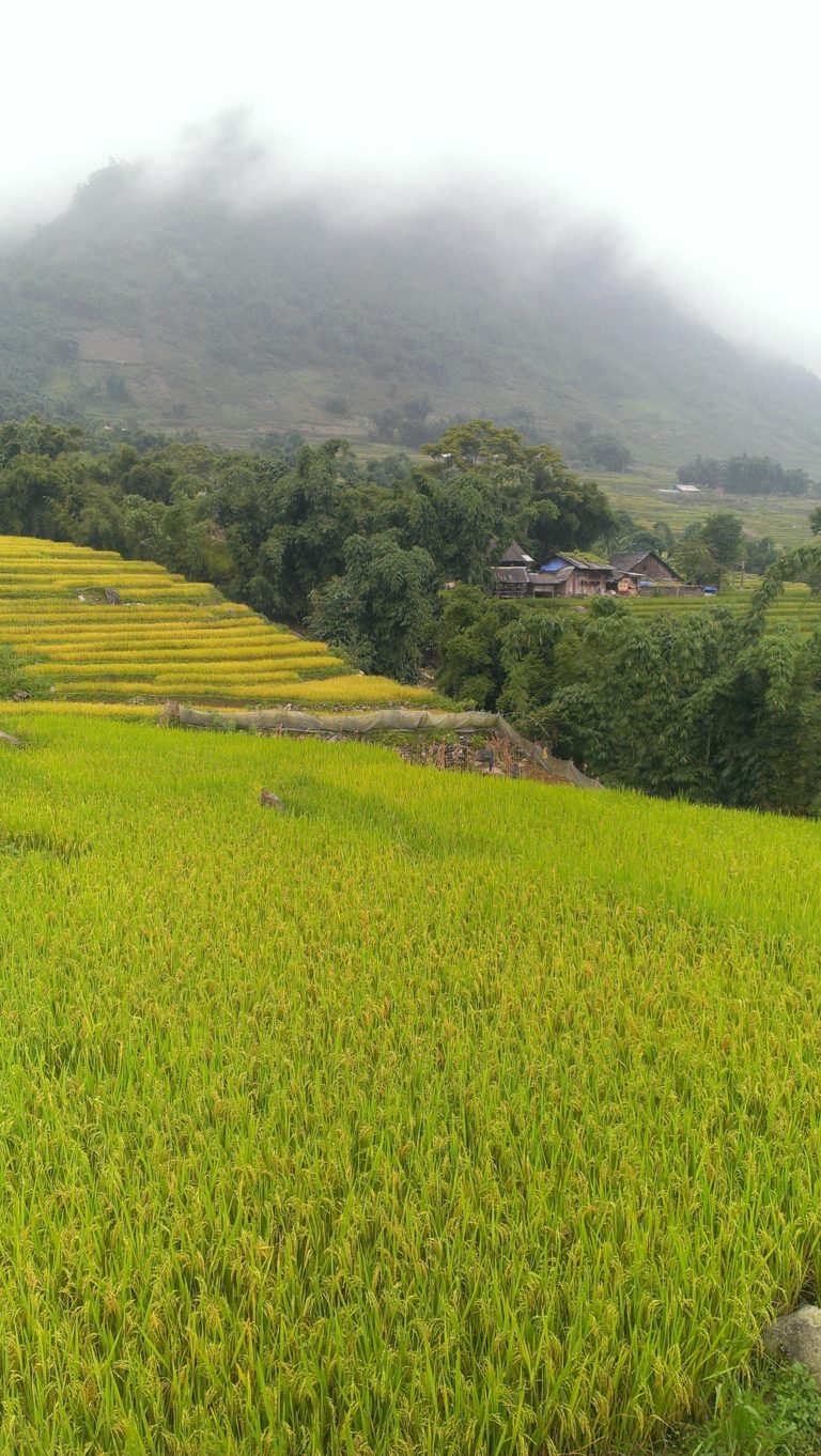 Trekking Around Sapa, Part 1 & 2
