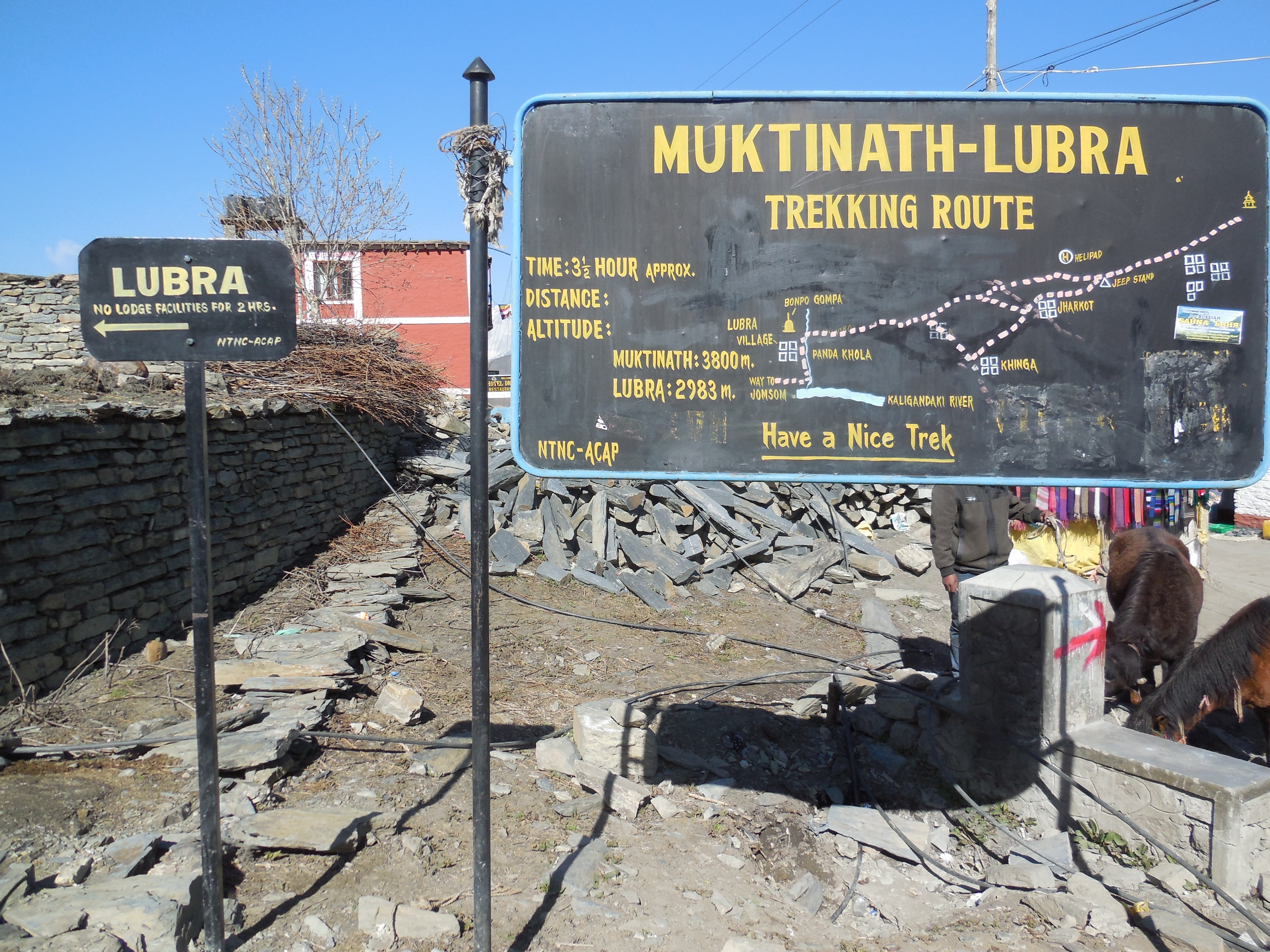 From Muktinath via Lupra to Jomson