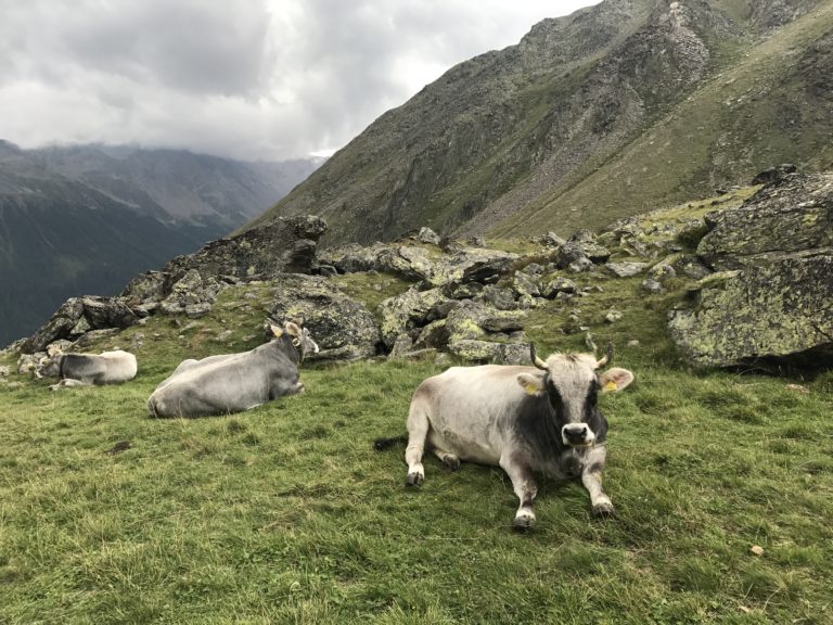 Von Deutschland nach Italien – eine Alpenüberquerung