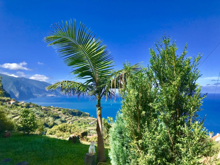 Madeira – Perle im Atlantik