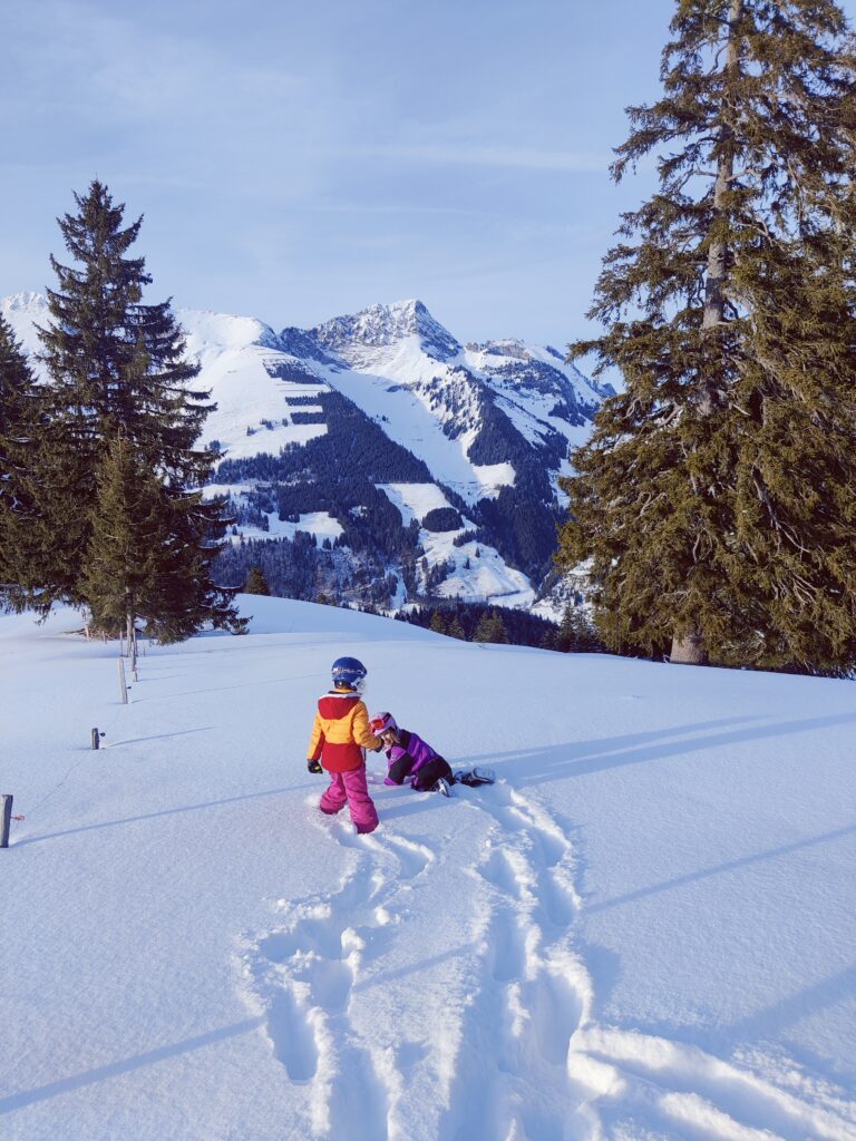 Schlitteln und Skifahren in Jaun mit Kindern