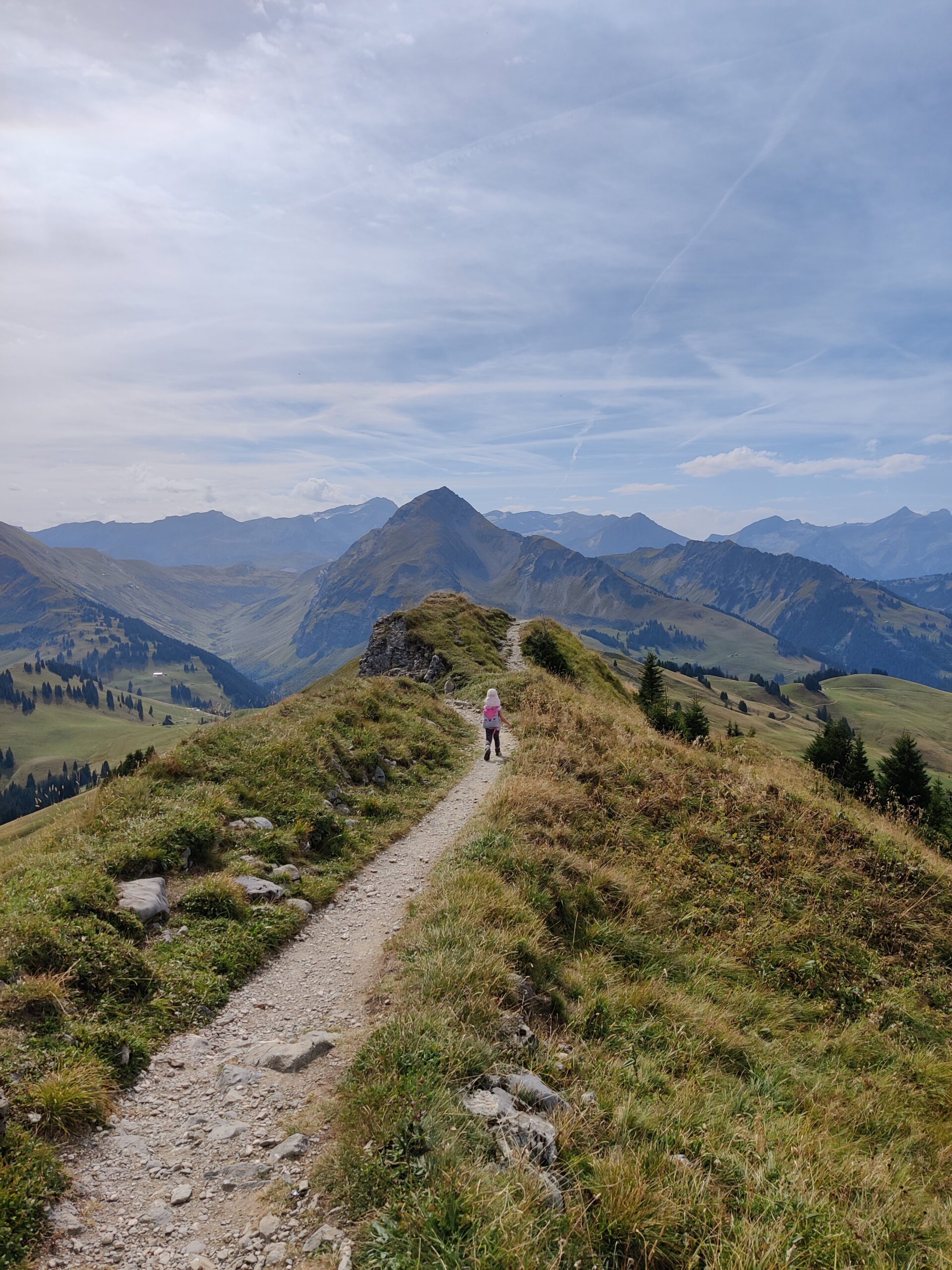 Wanderung Rinderberg zum Horneggli mit Kindern