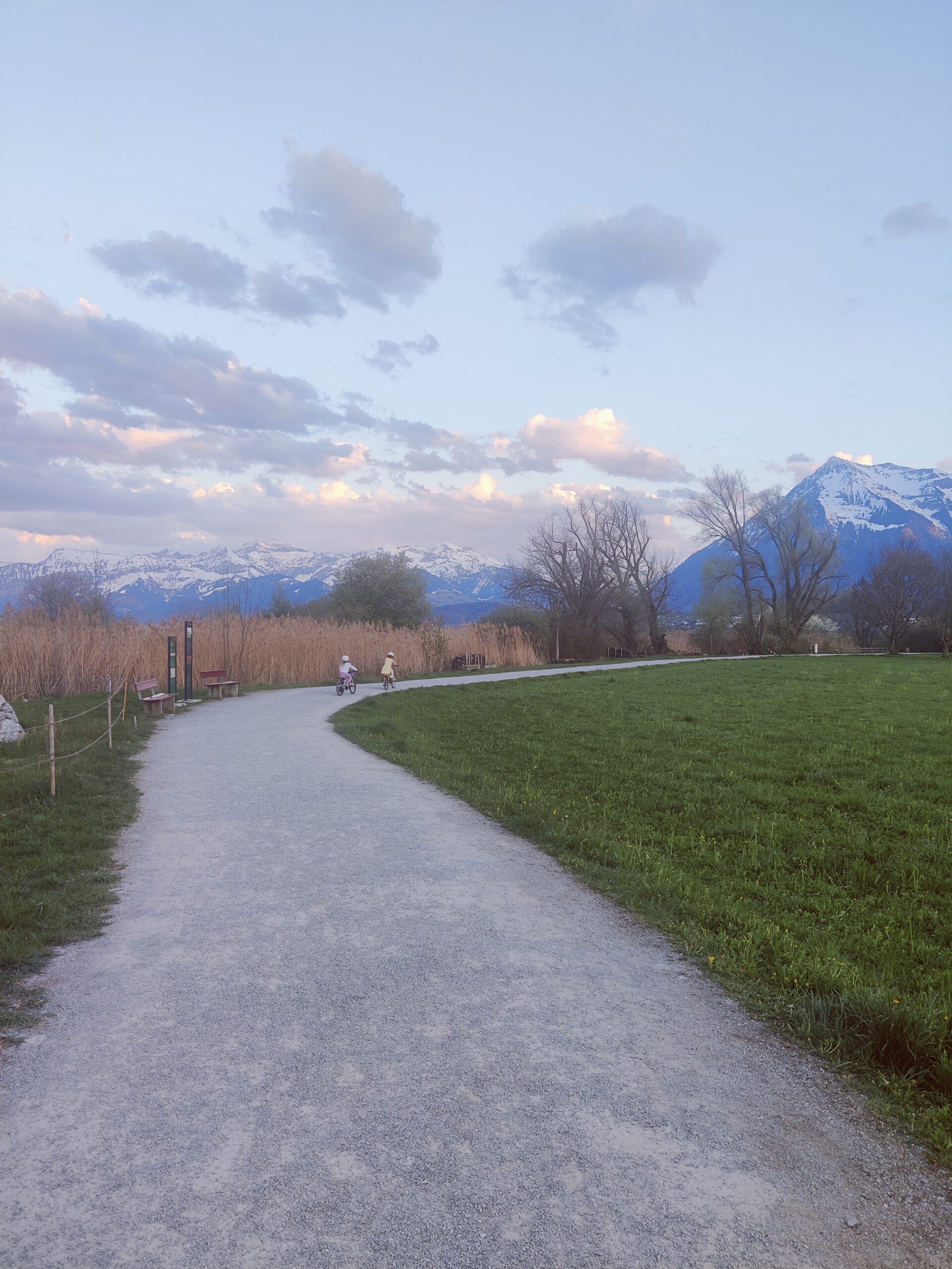 Veloweg bei Gwatt mit Blick auf die Berge des Berner Oberlands