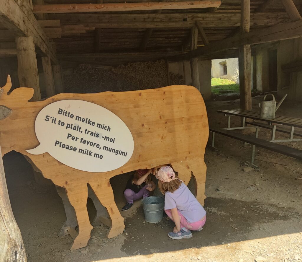 Melkversuche von Kindern im Freilichtmuseum Ballenberg