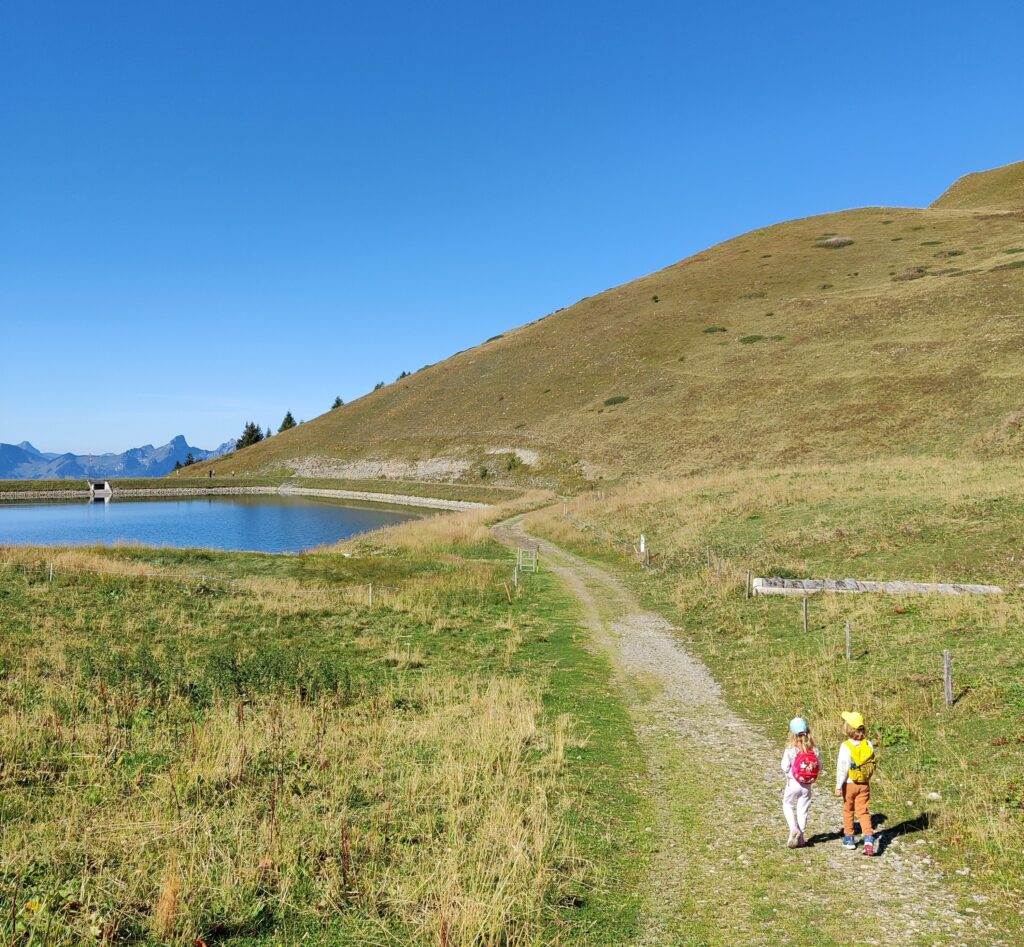 Leysin im Sommer - Wanderweg bei der Tour d'Aï