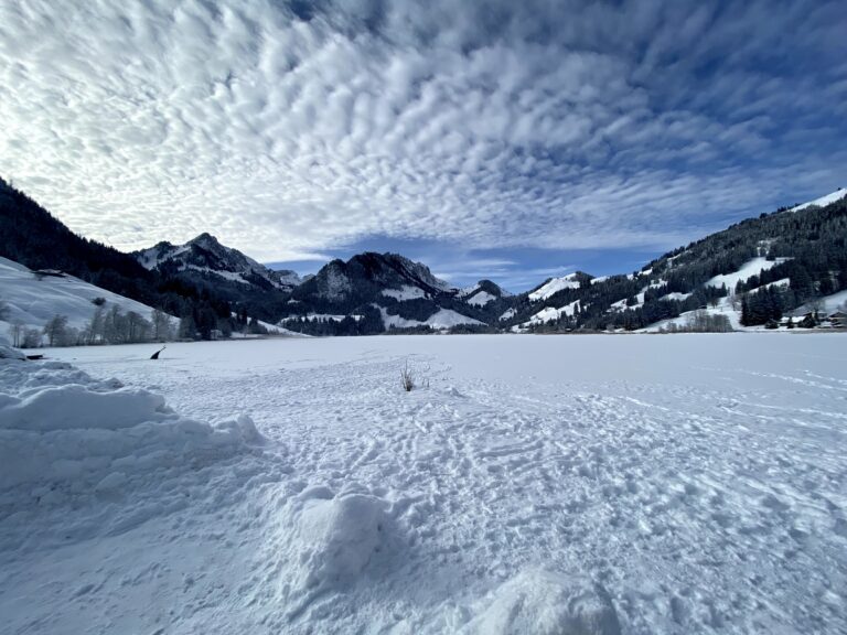 Zugefrohrener Schwarzsee im Winter