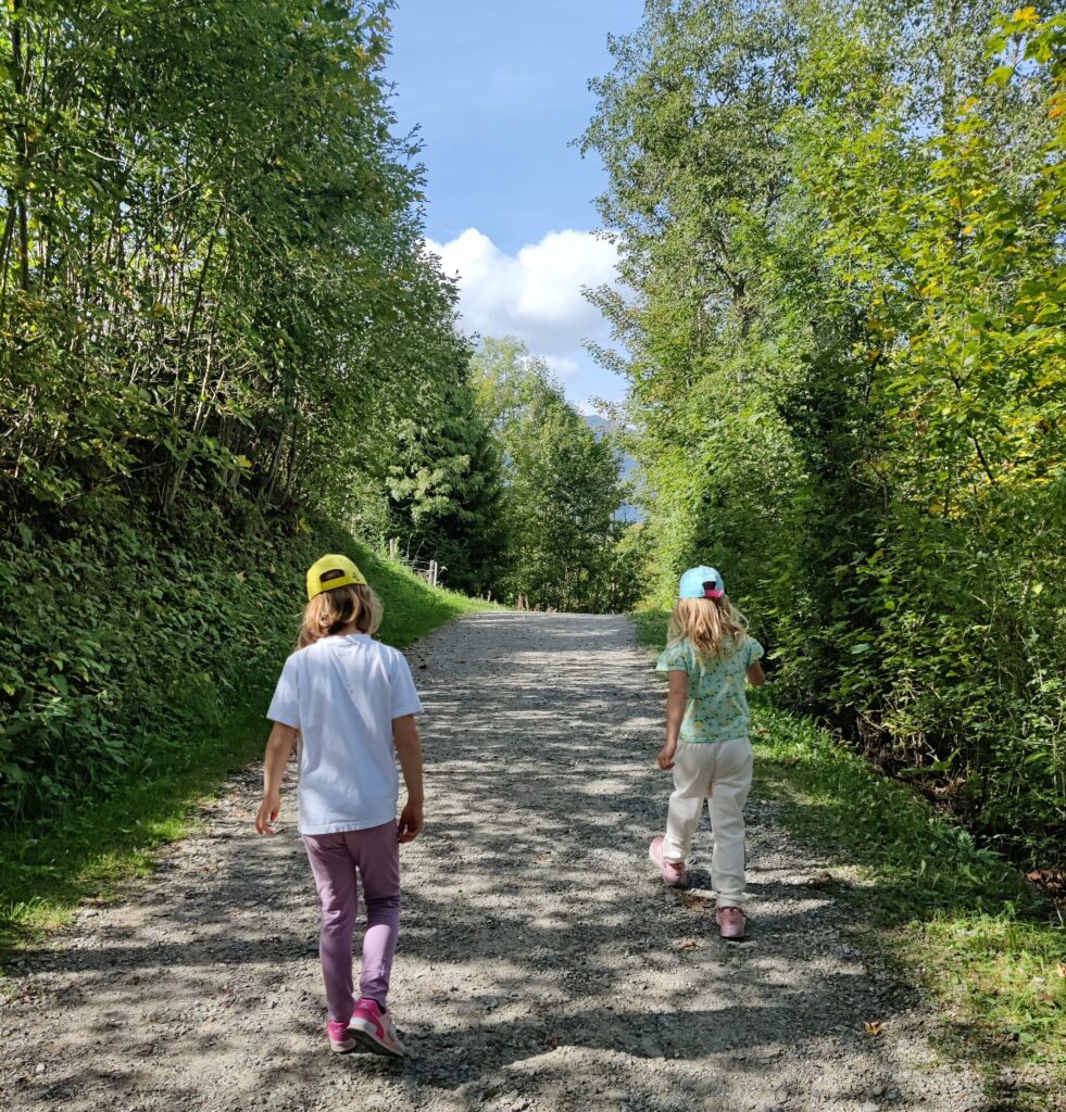 kleiner Wanderweg zur Talstation Rossweid