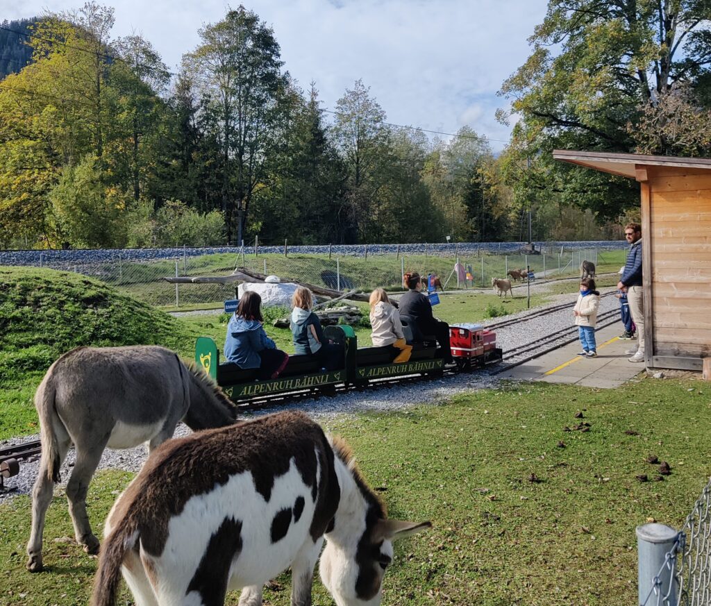 Die Bahn auf dem Erlebnisspielplatz Alpenruhe in Saanen mit den Tieren
